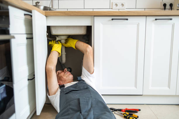 Best Affordable Plumber Near Me  in Prairie City, IA